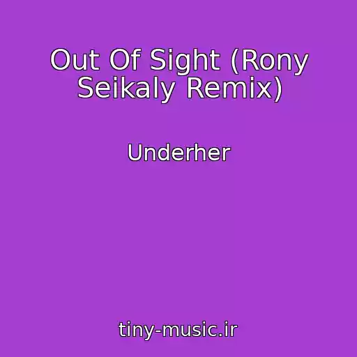 کاور آهنگ Out Of Sight (Rony Seikaly Remix) از Underher