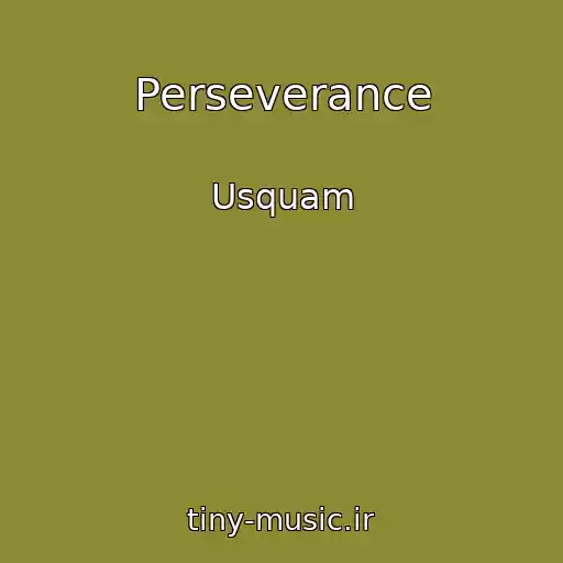 کاور آهنگ Perseverance از Usquam