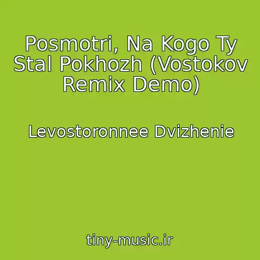 کاور آهنگ Posmotri, Na Kogo Ty Stal Pokhozh (Vostokov Remix Demo) از Levostoronnee Dvizhenie