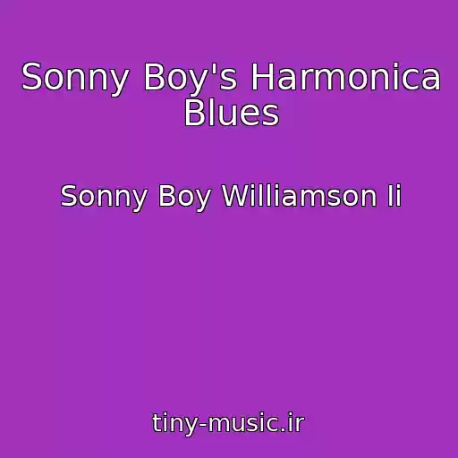 کاور آهنگ Sonny Boy's Harmonica Blues از Sonny Boy Williamson Ii