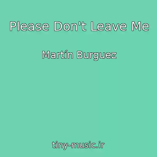 کاور آهنگ Please Don't Leave Me از Martín Burguez