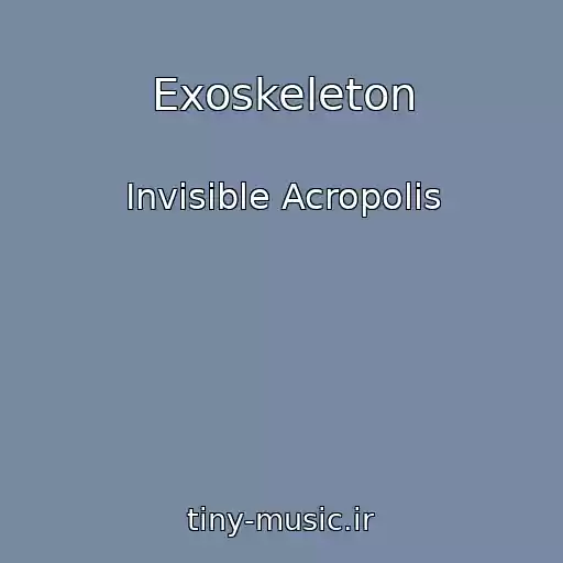کاور آهنگ Exoskeleton از Invisible Acropolis