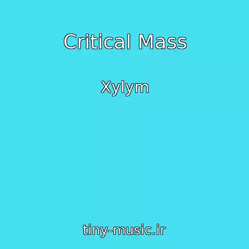 کاور آهنگ Critical Mass از Xylym