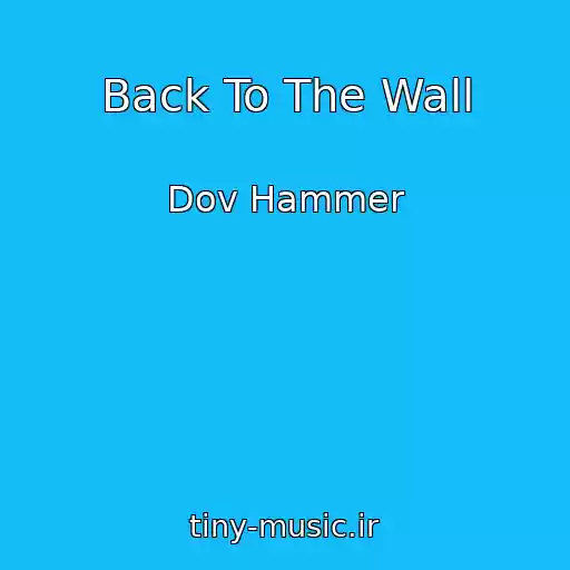 کاور آهنگ Back To The Wall از Dov Hammer