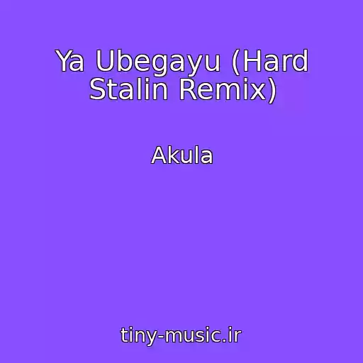 کاور آهنگ Ya Ubegayu (Hard Stalin Remix) از Akula