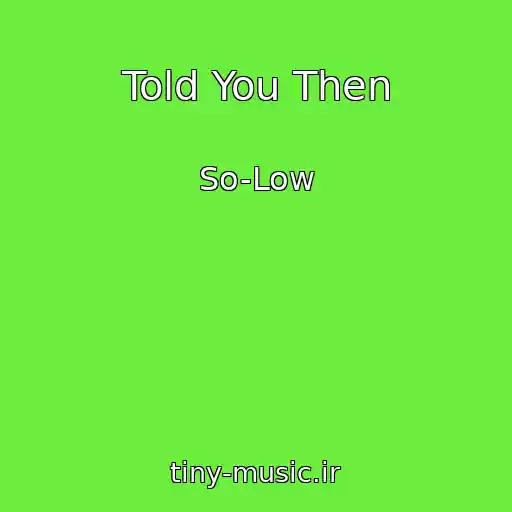 کاور آهنگ Told You Then از So-Low