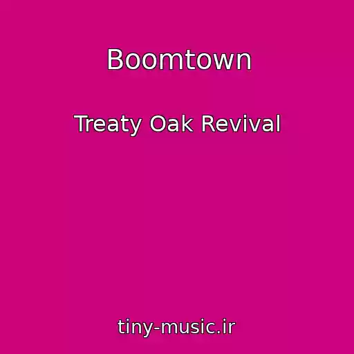 کاور آهنگ Boomtown از Treaty Oak Revival