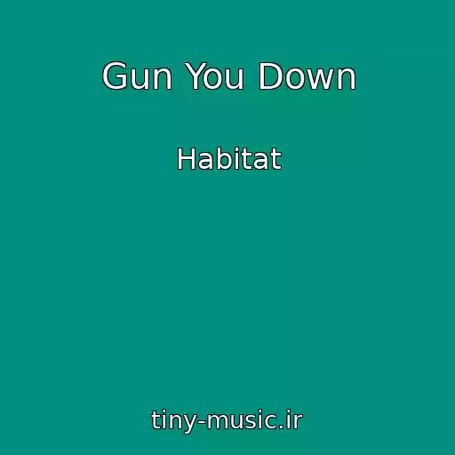 کاور آهنگ Gun You Down از Habitat