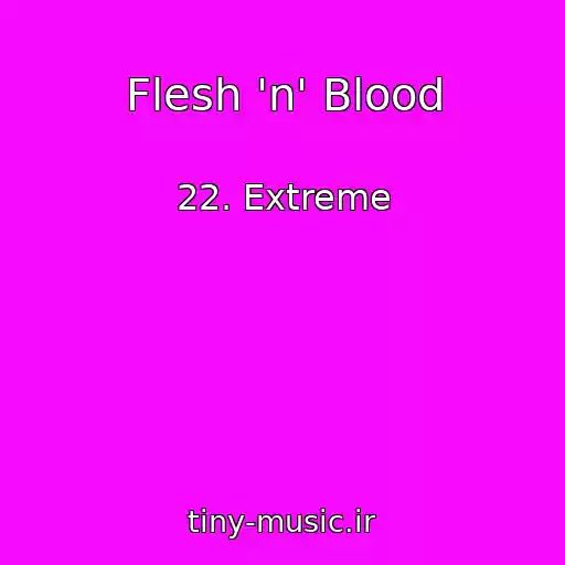 کاور آهنگ Flesh 'n' Blood از 22. Extreme