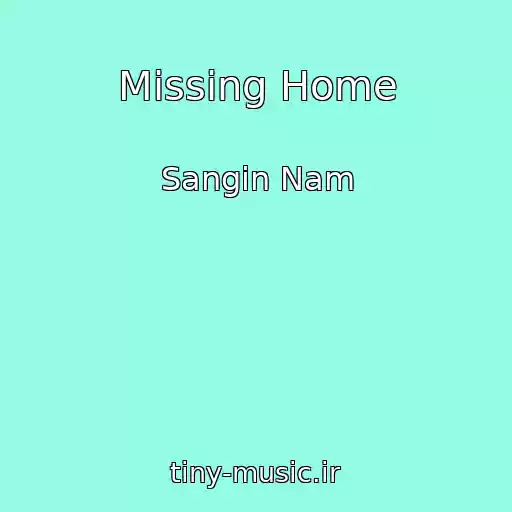 کاور آهنگ Missing Home از Sangin Nam