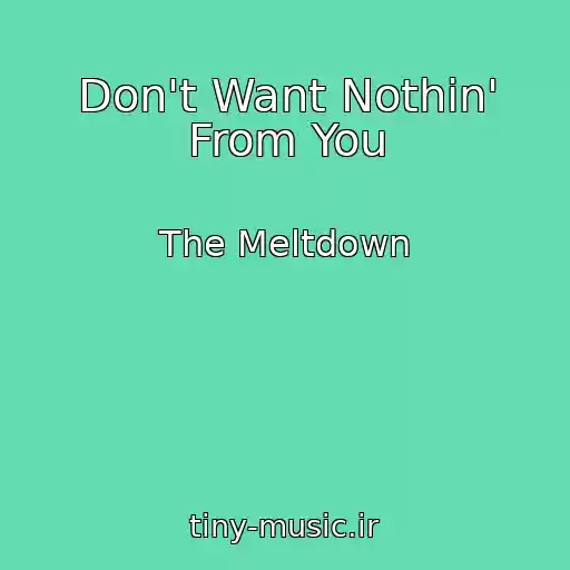 کاور آهنگ Don't Want Nothin' From You از The Meltdown