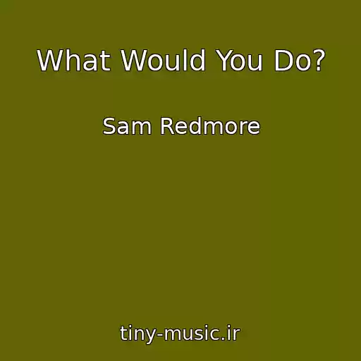 کاور آهنگ What Would You Do? از Sam Redmore