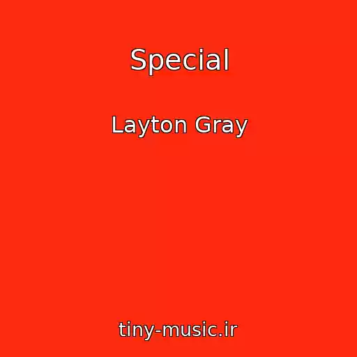 کاور آهنگ Special از Layton Gray
