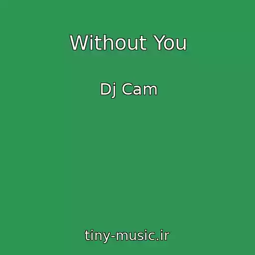 کاور آهنگ Without You از Dj Cam