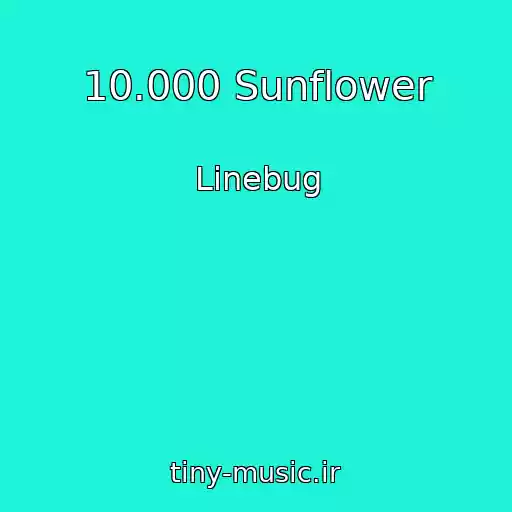 کاور آهنگ 10.000 Sunflower از Linebug