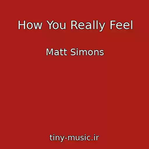 کاور آهنگ How You Really Feel از Matt Simons
