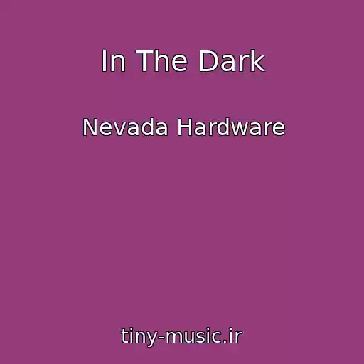 کاور آهنگ In The Dark از Nevada Hardware