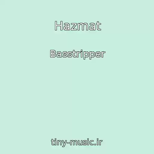 کاور آهنگ Hazmat از Basstripper