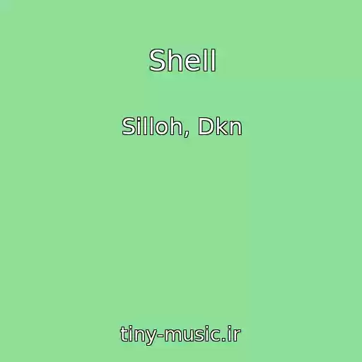 کاور آهنگ Shell از Silloh, Dkn