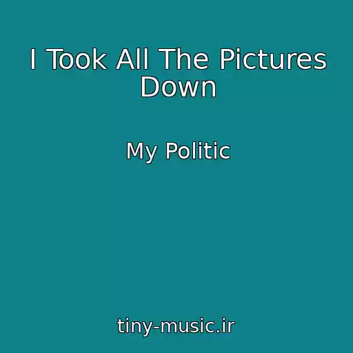 کاور آهنگ I Took All The Pictures Down از My Politic