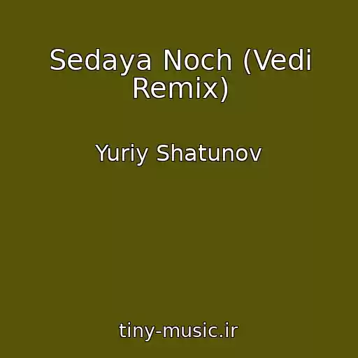 کاور آهنگ Sedaya Noch (Vedi Remix) از Yuriy Shatunov