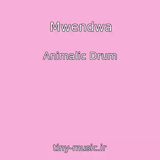 کاور آهنگ Mwendwa از Animalic Drum