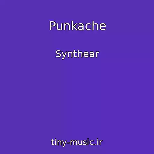 کاور آهنگ Punkache از Synthear