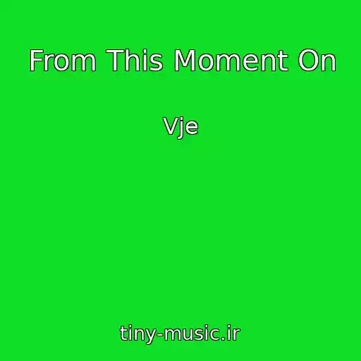 کاور آهنگ From This Moment On از Vje