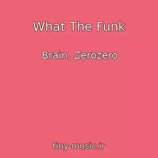 کاور آهنگ What The Funk از Brain, Zerozero