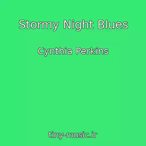 کاور آهنگ Stormy Night Blues از Cynthia Perkins