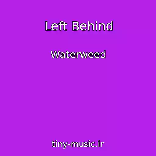 کاور آهنگ Left Behind از Waterweed