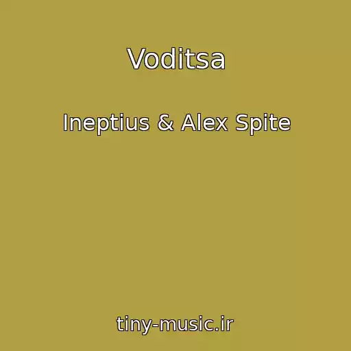 کاور آهنگ Voditsa از Ineptius & Alex Spite