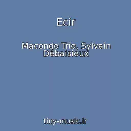 کاور آهنگ Ecir از Macondo Trio, Sylvain Débaisieux