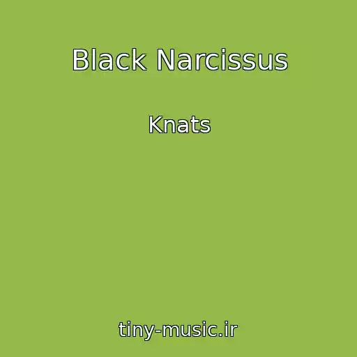 کاور آهنگ Black Narcissus از Knats
