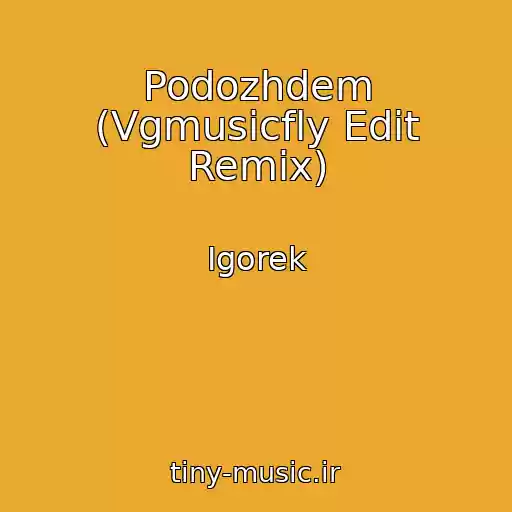 کاور آهنگ Podozhdem (Vgmusicfly Edit Remix) از Igorek
