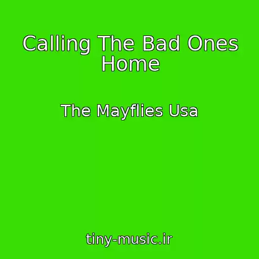 کاور آهنگ Calling The Bad Ones Home از The Mayflies Usa
