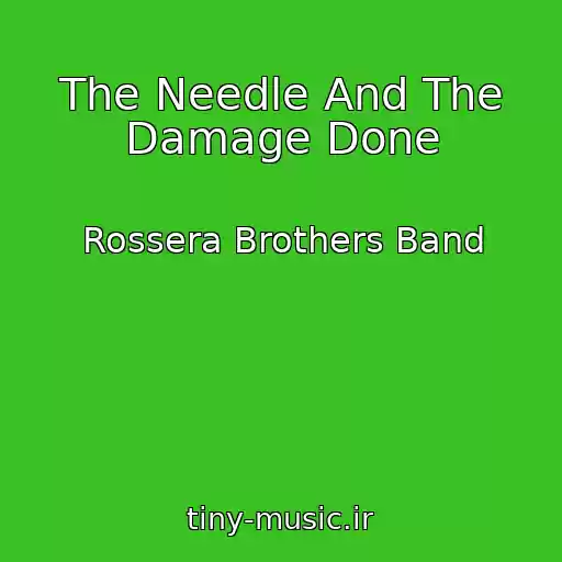 کاور آهنگ The Needle And The Damage Done از Rossera Brothers Band