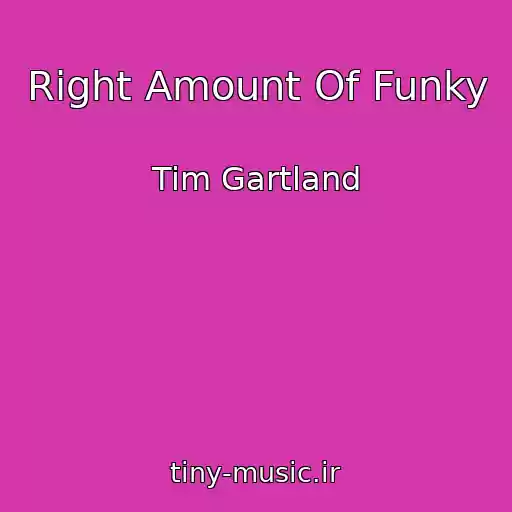کاور آهنگ Right Amount Of Funky از Tim Gartland