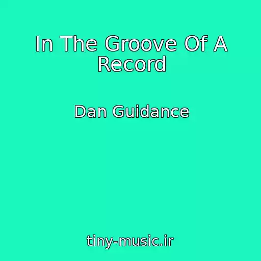کاور آهنگ In The Groove Of A Record از Dan Guidance