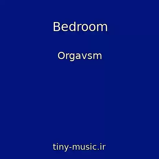 کاور آهنگ Bedroom از Orgavsm