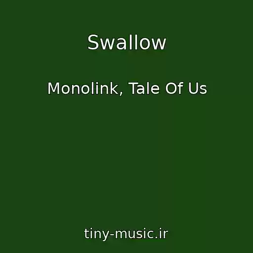 کاور آهنگ Swallow از Monolink, Tale Of Us