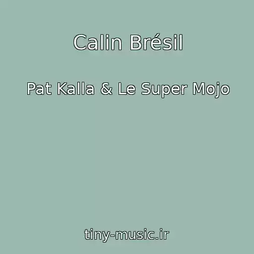کاور آهنگ Calin Brésil از Pat Kalla & Le Super Mojo