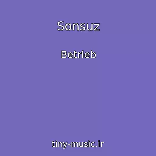 کاور آهنگ Sonsuz از Betrieb