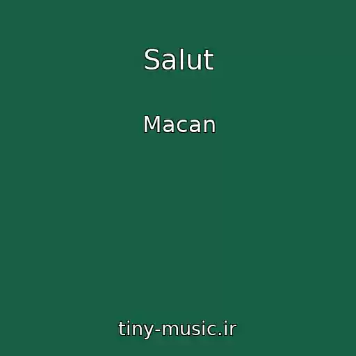 کاور آهنگ Salut از Macan