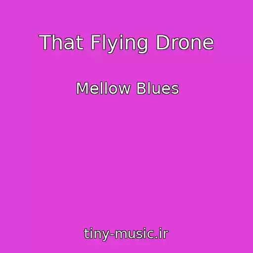 کاور آهنگ That Flying Drone از Mellow Blues
