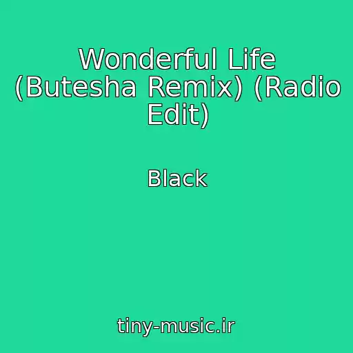 کاور آهنگ Wonderful Life (Butesha Remix) (Radio Edit) از Black