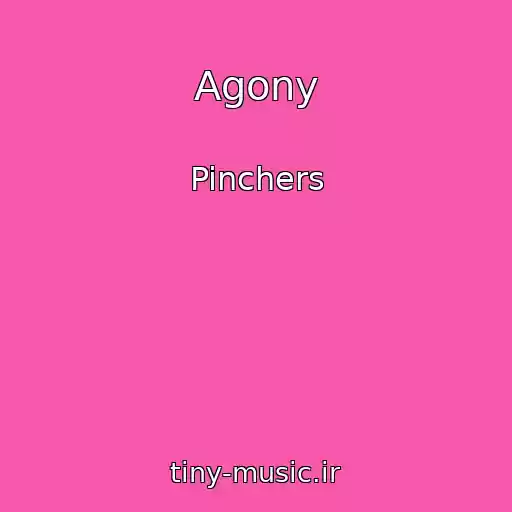 کاور آهنگ Agony از Pinchers