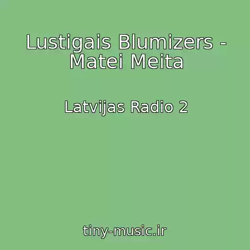 کاور آهنگ Lustigais Blumizers - Matei Meita از Latvijas Radio 2