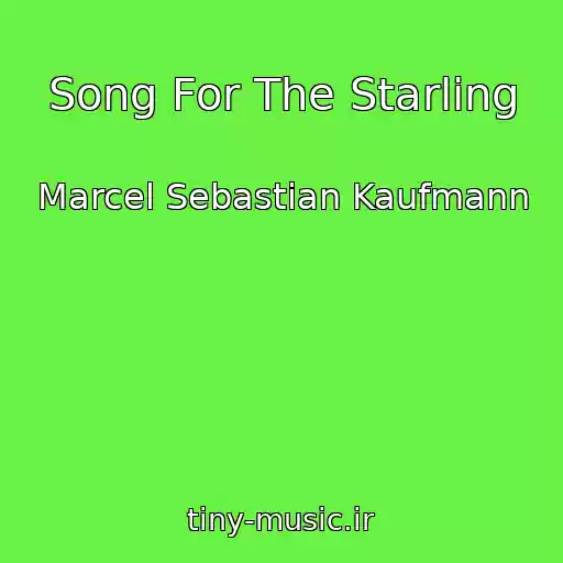 کاور آهنگ Song For The Starling از Marcel Sebastian Kaufmann