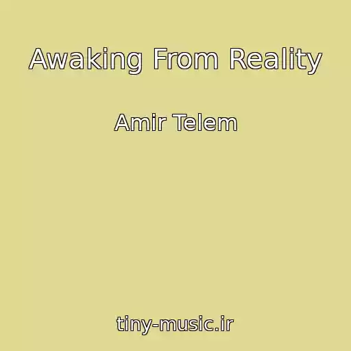 کاور آهنگ Awaking From Reality از Amir Telem